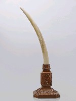 藏品(象牙（大）)的圖片