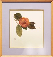 藏品(椿（技法：おしば美術）)的圖片