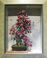 藏品(台湾ヒカンザクラ（技法：創作アート盆栽）)的圖片