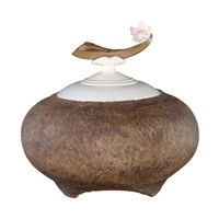 藏品(藏梅)的圖片