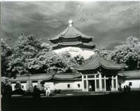 藏品(紀念堂黑白光影)的圖片