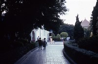 藏品(朝朝暮暮)的圖片