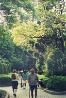 藏品(遠觀近看遊中正(綠意盎然))的圖片