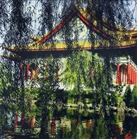 藏品(遠觀近看遊中正(葉隙一瞥))的圖片