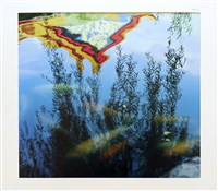 藏品(遠觀近看遊中正(鯉躍雲池))的圖片