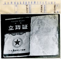 藏品(雲南人民反共志願軍10)的圖片