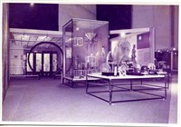 藏品(早期軍旅生活9)的圖片