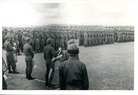 藏品(訓練兩個月之第三期常備兵2)的圖片