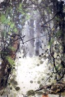 藏品(國軍遠援印緬)的圖片