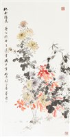 藏品(菊)的圖片