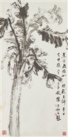 藏品(芭蕉)的圖片