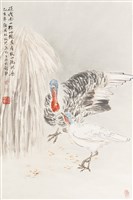 藏品(火雞)的圖片