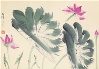 藏品(荷花)的圖片