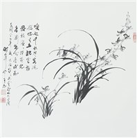 藏品(蘭花)的圖片