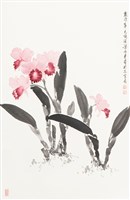 藏品(美齡蘭)的圖片