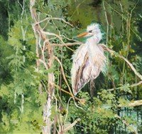 藏品(白鷺)的圖片