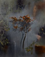 藏品(韶華過盡)的圖片