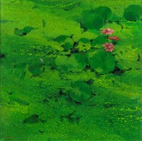 藏品(浮流)的圖片