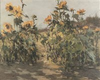 藏品(向日)的圖片