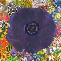 藏品(幻想曲)的圖片