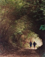 藏品(幽徑)的圖片