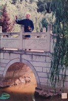 藏品(橋上望故里)的圖片