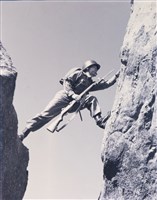 藏品(峽谷神兵)的圖片