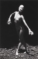 藏品(舞韻（一）)的圖片