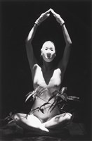 藏品(舞韻（三）)的圖片