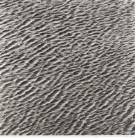 藏品(阿拉伯)的圖片