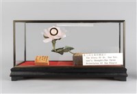 藏品(三民主義照耀寰宇)的圖片