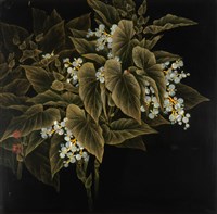 藏品(花趣海棠)的圖片