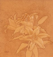 藏品(純真)的圖片