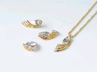 藏品(項鍊、戒子、耳環)的圖片