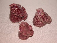 藏品(小公雞)的圖片