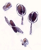 藏品(流星--領帶夾、耳環、戒指)的圖片