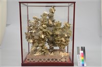 藏品(樹皮編藝－匯集)的圖片