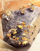 藏品(紅樓夢─蝶曲--胸針、戒指、耳環)的圖片