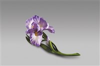 藏品(鳶尾花/紫色)的圖片