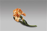 藏品(鳶尾花/橘色)的圖片