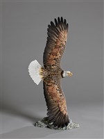 藏品(大橫飛鷹)的圖片