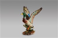 藏品(綠頭鴨)的圖片