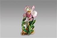 藏品(蜂鳥蘭花)的圖片