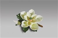 藏品(木蘭花)的圖片