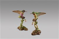 藏品(蜂鳥組)的圖片