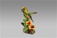 藏品(蜂鳥)的圖片