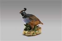 藏品(鵪鶉)的圖片