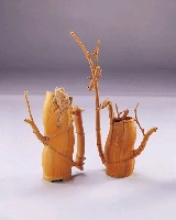 藏品(君子之爭)的圖片