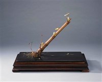 藏品(諸羅樹蛙)的圖片