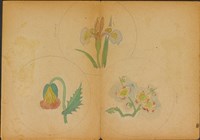 藏品(雙面繪設計草圖－九月十七日)的圖片